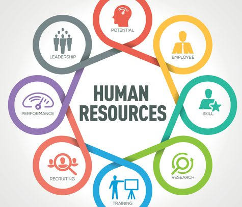 Diagram of human resources functions: leadership, potential, employee, skill, research, training, recruiting, and performance.