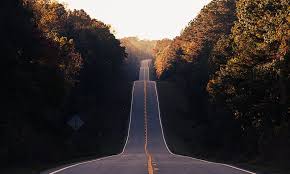 An open road winding through autumn trees, symbolizing the journey ahead.